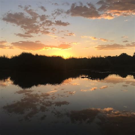 CROCODILE POOLS RIVER SAFARIS (2026) All You Need to Know BEFORE You Go ...