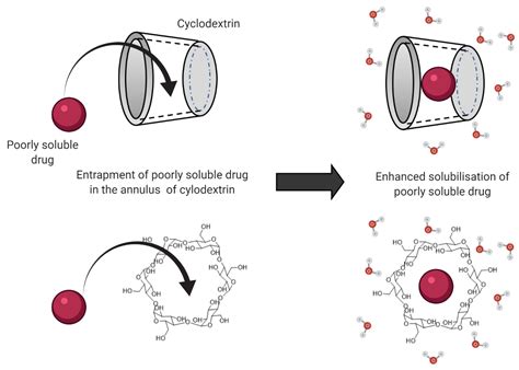 Intestinal Absorption Study: Challenges and Absorption Enhancement ...