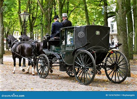 Horse-drawn carriage, types of horse carriages pictures – ICDK
