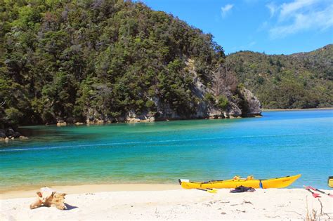 Heading South - the Nelson Region | Erasmus blog New Zealand