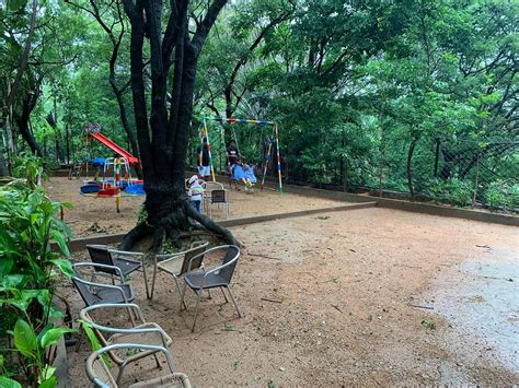 ARANYA RESORT BY MRUGAVANI (Shamirpet) - Hotel Reviews, Photos, Rate ...