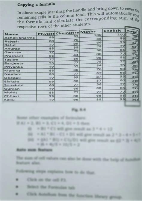 Image result for Project Data Entry Formulas