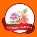 Morelight Extra power liquid detergent Fresh Liquid Detergent Price in ...