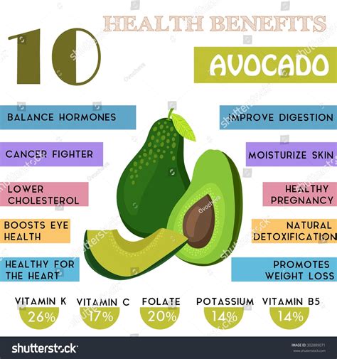 10 Health Benefits Information Avocado Nutrients 库存矢量图（免版税）302889071 | Shutterstock