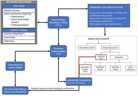 Frontiers | Measuring the impact of an integrated bite case management program on the detection ...
