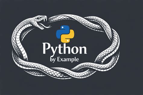 Examples in Python 的图像结果