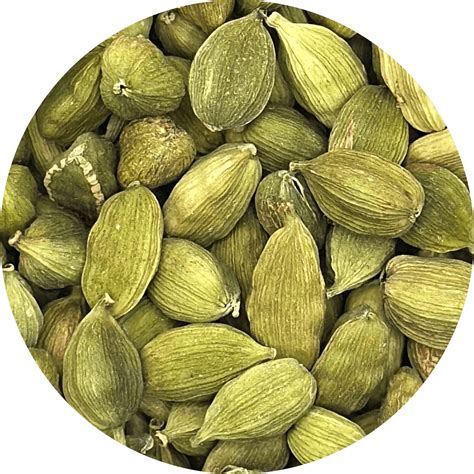 Bulk Cardamom Pods Fancy Green at Wholesale Prices - Hudson®