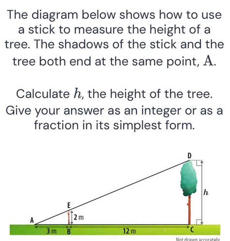 Image result for Proper Way to Measure the Height of a Tree Using a Tree Scale Stick