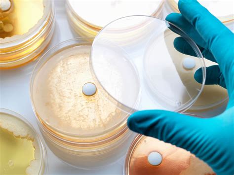 Biotechnology Examples 的图像结果