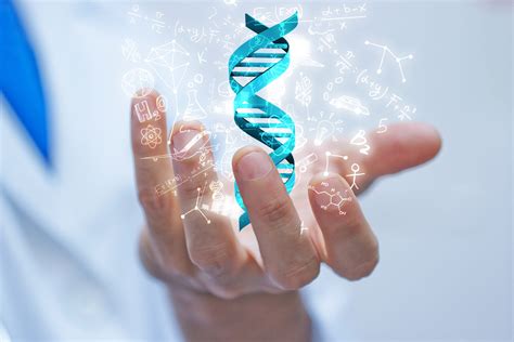 DNA Database 的图像结果