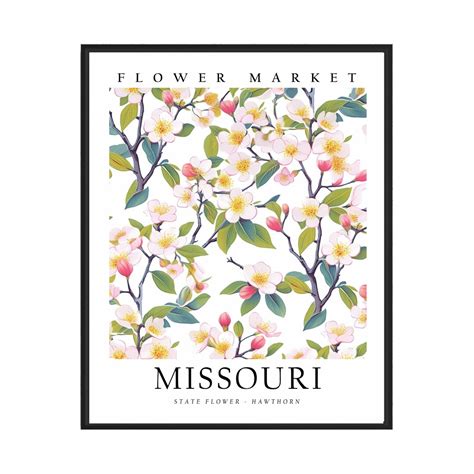 Missouri State Flower, Missouri Flower Market Art Print, Hawthorn 1960 ...