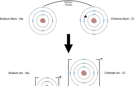 The Formation of Ionic Compounds From Atoms | Mooramo