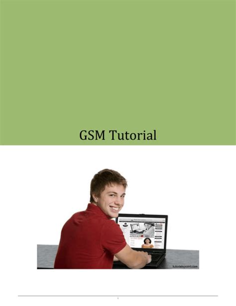 GSM Tutorial 的图像结果