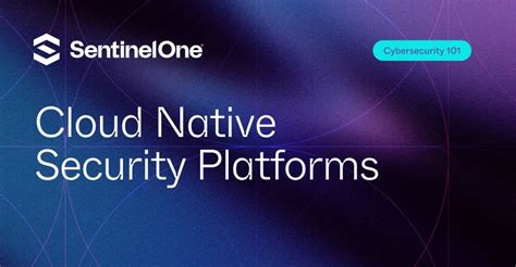 https://www.sentinelone.com/wp-content/uploads/2024/11/cybersecurity-101-cloud-native-security-platforms-1.jpg?utm_source=chatgpt.com