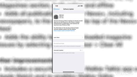 iOS 12.4.9 的图像结果