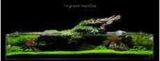 ada aquascape aquascape tutorial simplicity by findley ada aquascape aquascape tutorial simplicity by findley