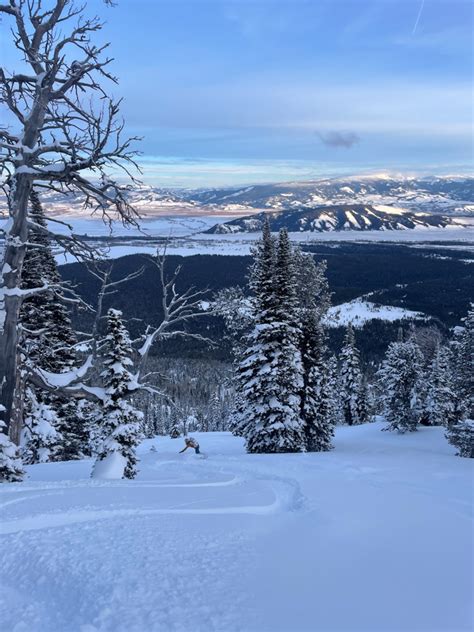 Snowboard Tips 的图像结果