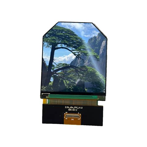 Image result for High Resolution TFT IPS LCD Display Module