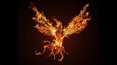 Custom Task Evaluation - Phoenix HD Wallpaper Vector Art