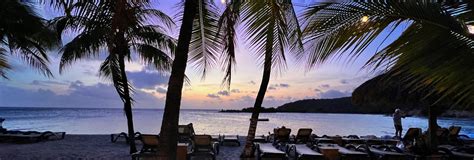 Air Canada Rouge Business Class 的图像结果