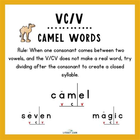 Vc Cv Words