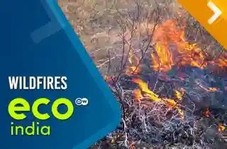Watch Eco India Online | Wildfires