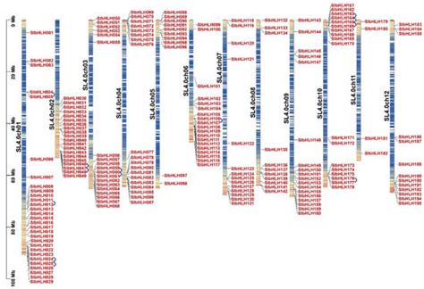 Genome- and Transcriptome-Wide Characterization and Expression Analyses ...