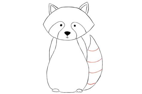 Raccoon Drawing: Easy, Cute and Realistic