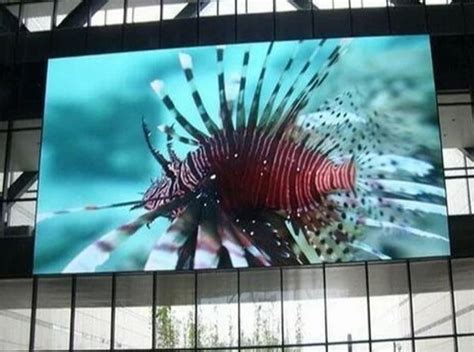 LED for Commercial Display in Kaithal