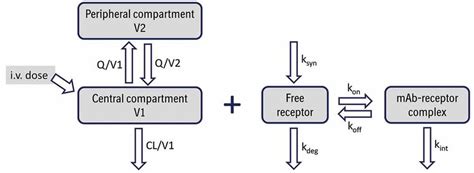+Two Compartment PK Modelling with Mathematica 的图像结果