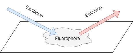 Image result for How Does Fluorescence Spectroscopy Work