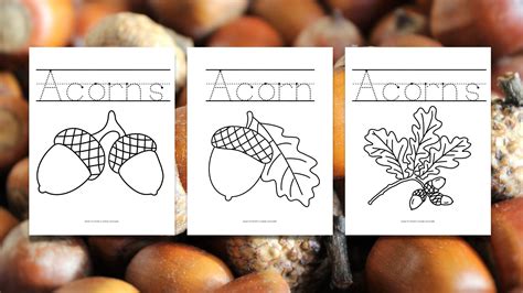 3 Free Printable Acorn Coloring Pages