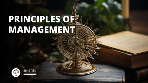 Image result for Principles of Management Explained