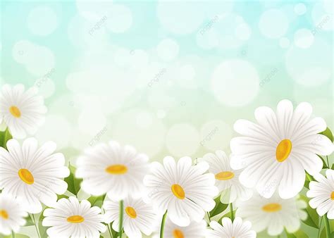Image result for Free Spring Background