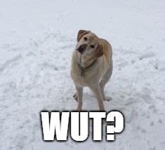 OIP.lbHCaqWDGyQwPrQQR89pwQAAAA