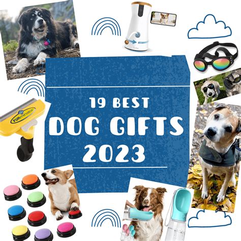 19 Unique Dog Gifts that your Fur Baby will Love | Mollie in Montana~*