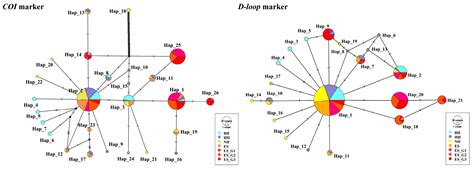 Genetic Structure and Optimal Population Size of Wild and Mass-Selected ...