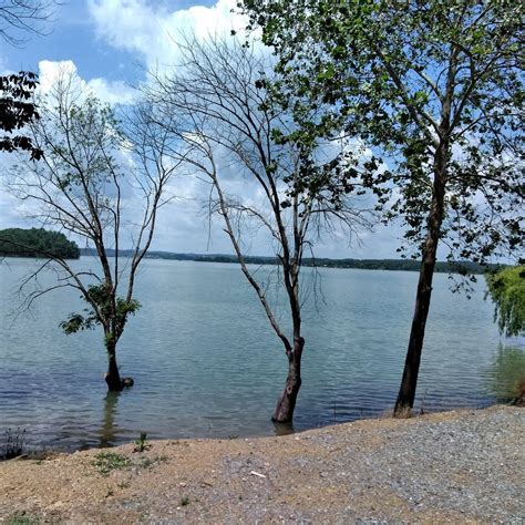 DOUGLAS LAKE (Dandridge): Ce qu'il faut savoir pour votre visite (avec ...