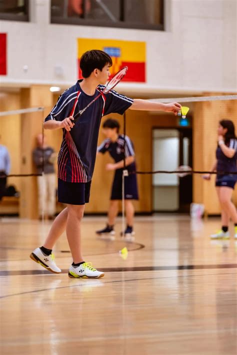 Badminton 的图像结果