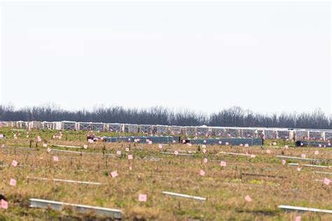 Branch Solar Project by NorthStar Clean Energy - mlive.com