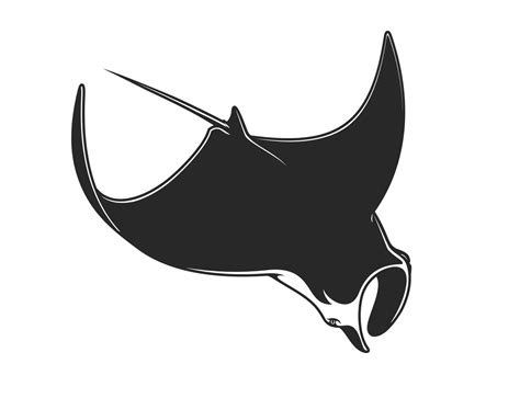 Manta underwater animal, devil ray, stingray 23504234 Vector Art at ...