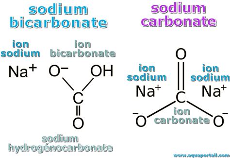 Calcium Carbonate Vs. Calcium Bicarbonate: What’S The Difference? – RUAUE
