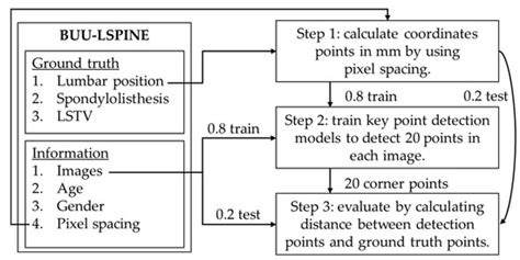 BUU-LSPINE: A Thai Open Lumbar Spine Dataset for Spondylolisthesis ...