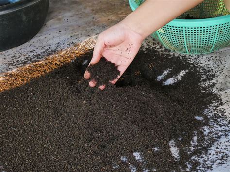 Biological control — lesson. Science State Board, Class 8.