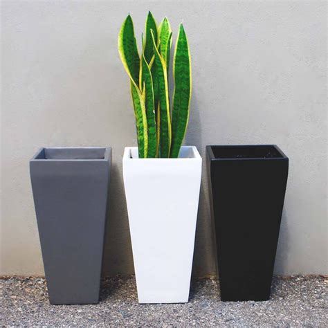 Buy Root and Stock Windsor Tall Square Fiberglass Planter Online at ...