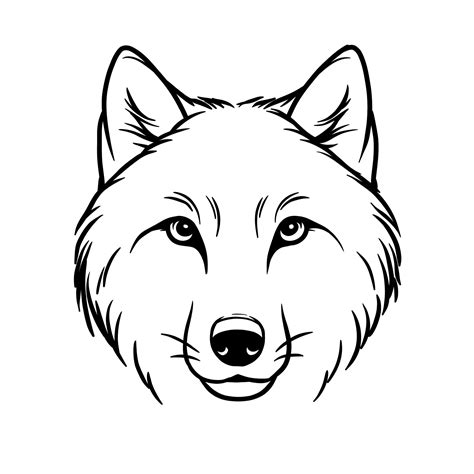 Image result for Easy Drawings of Wolves