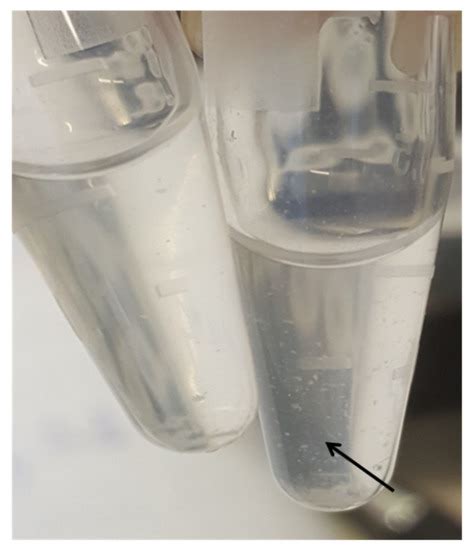 Biotech Just Received Pattern 的图像结果