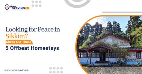 5 Cozy Offbeat Homestays in Sikkim | Homestaying
