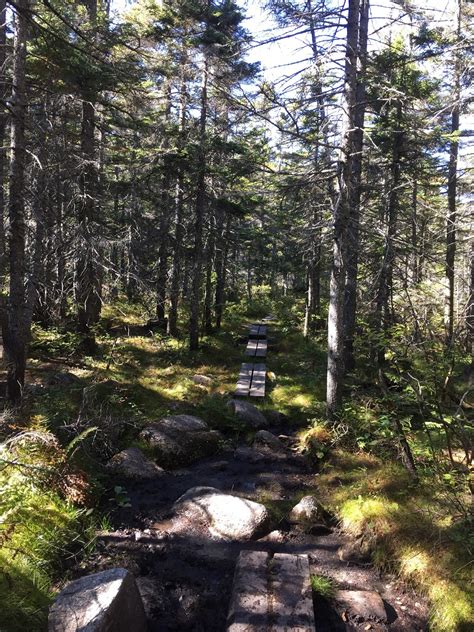 Paws on Peaks: Hale and Zealand Falls Hut Loop