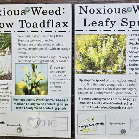 Beaver Dick Park Campground | Rexburg, Idaho